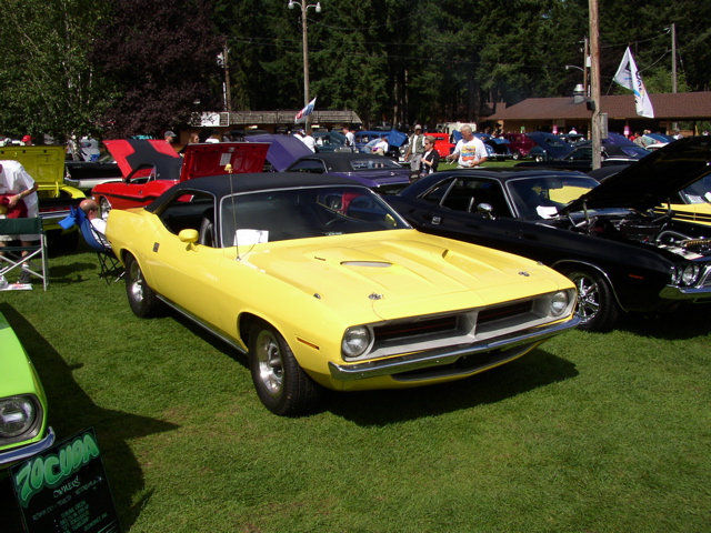P1010009.JPG